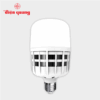 Đèn LED Bulb công suất lớn Điện Quang ĐQ LEDBU09 25740
