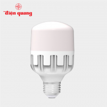 Đèn LED Bulb công suất lớn Điện Quang  ĐQ LEDBU10 30765AW