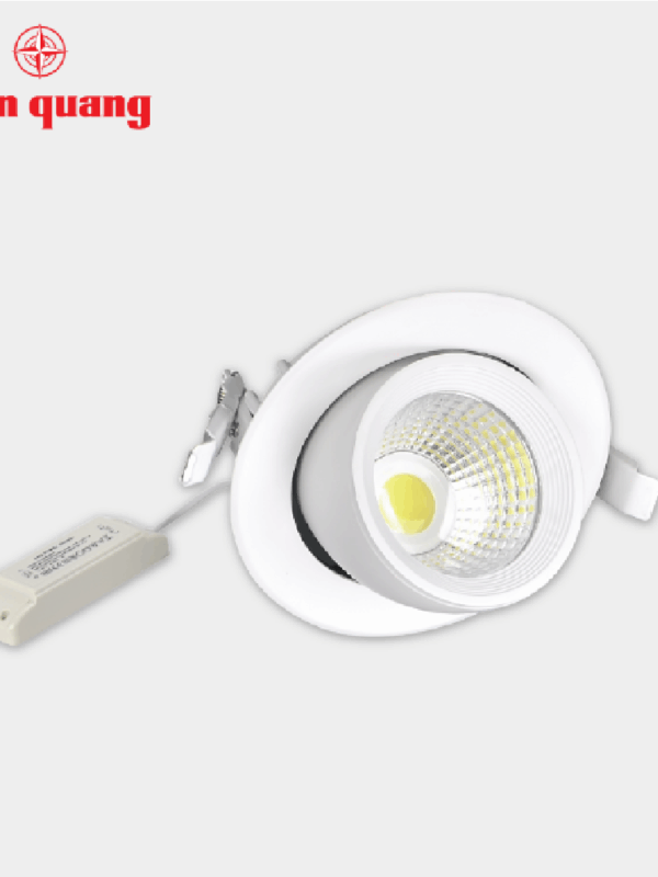 Bộ đèn LED chiếu điểm âm trần Điện Quang ĐQ LEDRSL03 20727 (20W, warmwhite)
