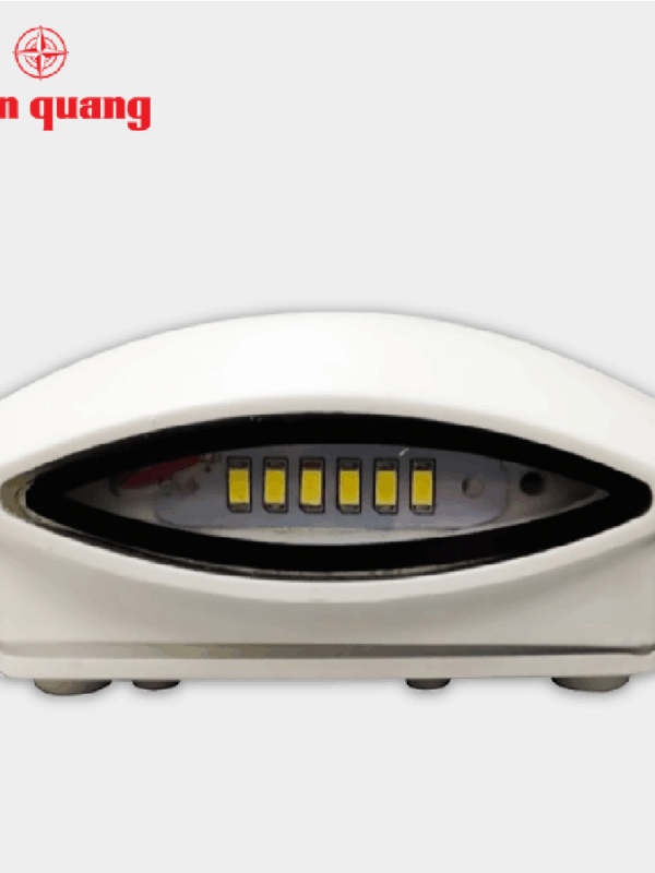 Bộ đèn led hắt tường Điện Quang ĐQ LEDWL15 06765 (6W, Daylight)
