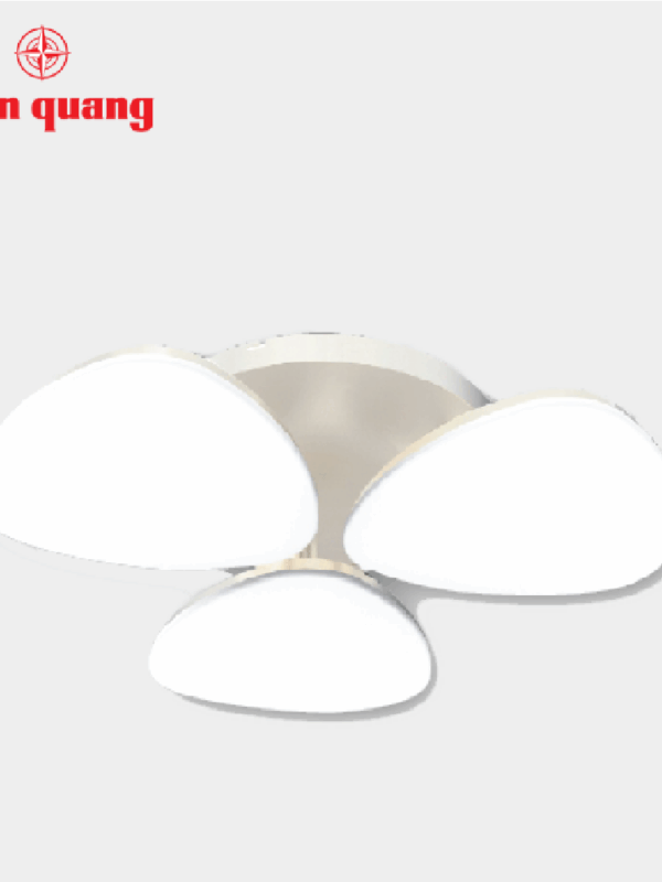 Bộ đèn LED ốp trần cao cấp Điện Quang ĐQ LEDCCL16 36765 S