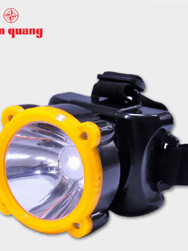 Đèn pin đội đầu Điện Quang ĐQ PFL11 R BLY