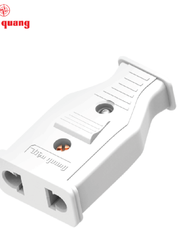 Phích cắm cái Điện Quang ĐQ EPF W.2PN ( Trắng )